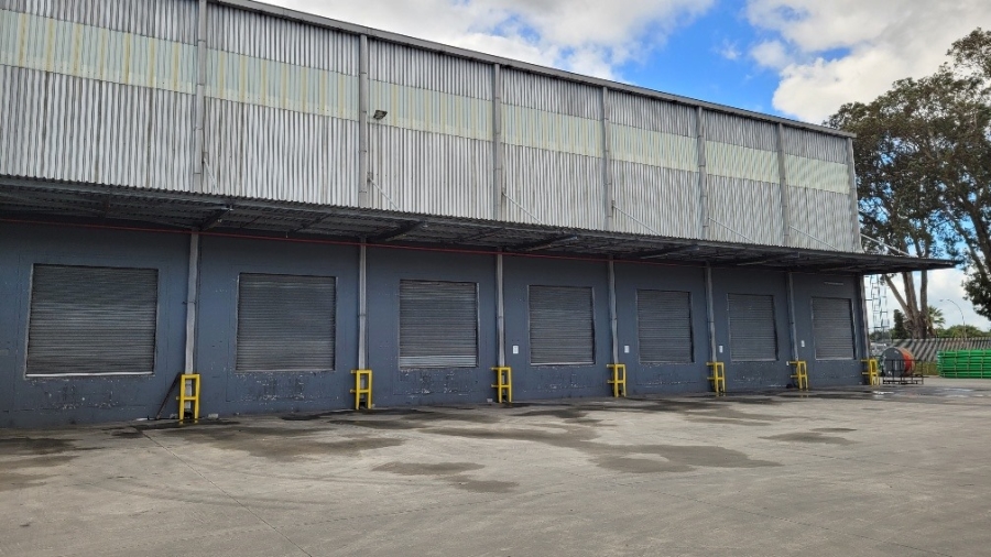 To Let commercial Property for Rent in Parow Industrial Western Cape